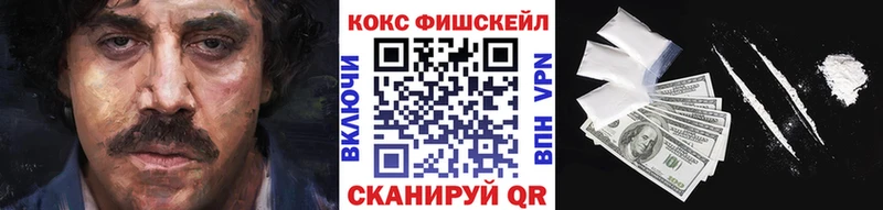 наркотики  Петровск  COCAIN FishScale 