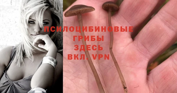 mix Армянск