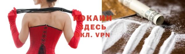 стафф Аркадак