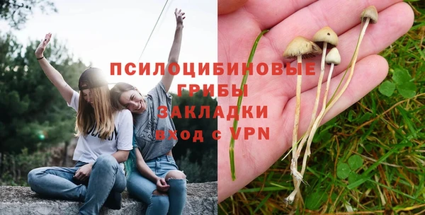 mix Армянск