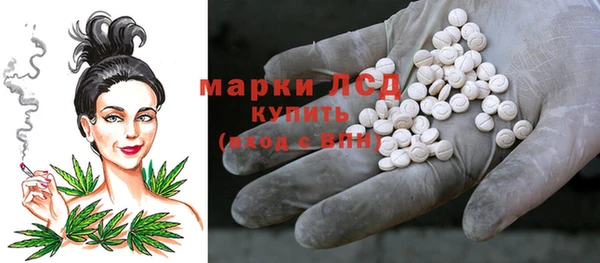 стафф Аркадак